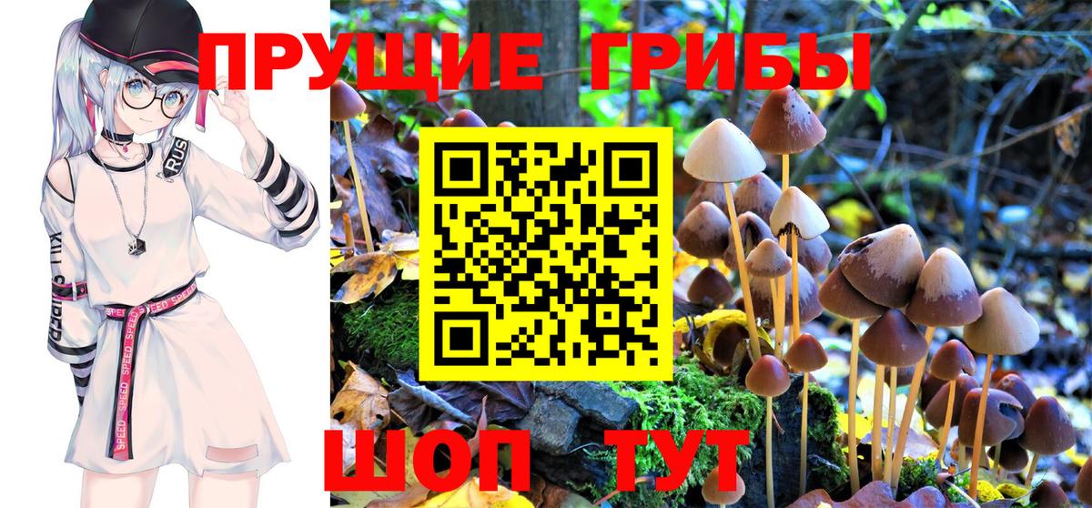 Псилоцибиновые грибы Magic Shrooms Волоколамск